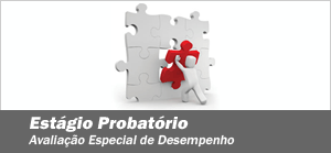 Est�gio Probat�rio